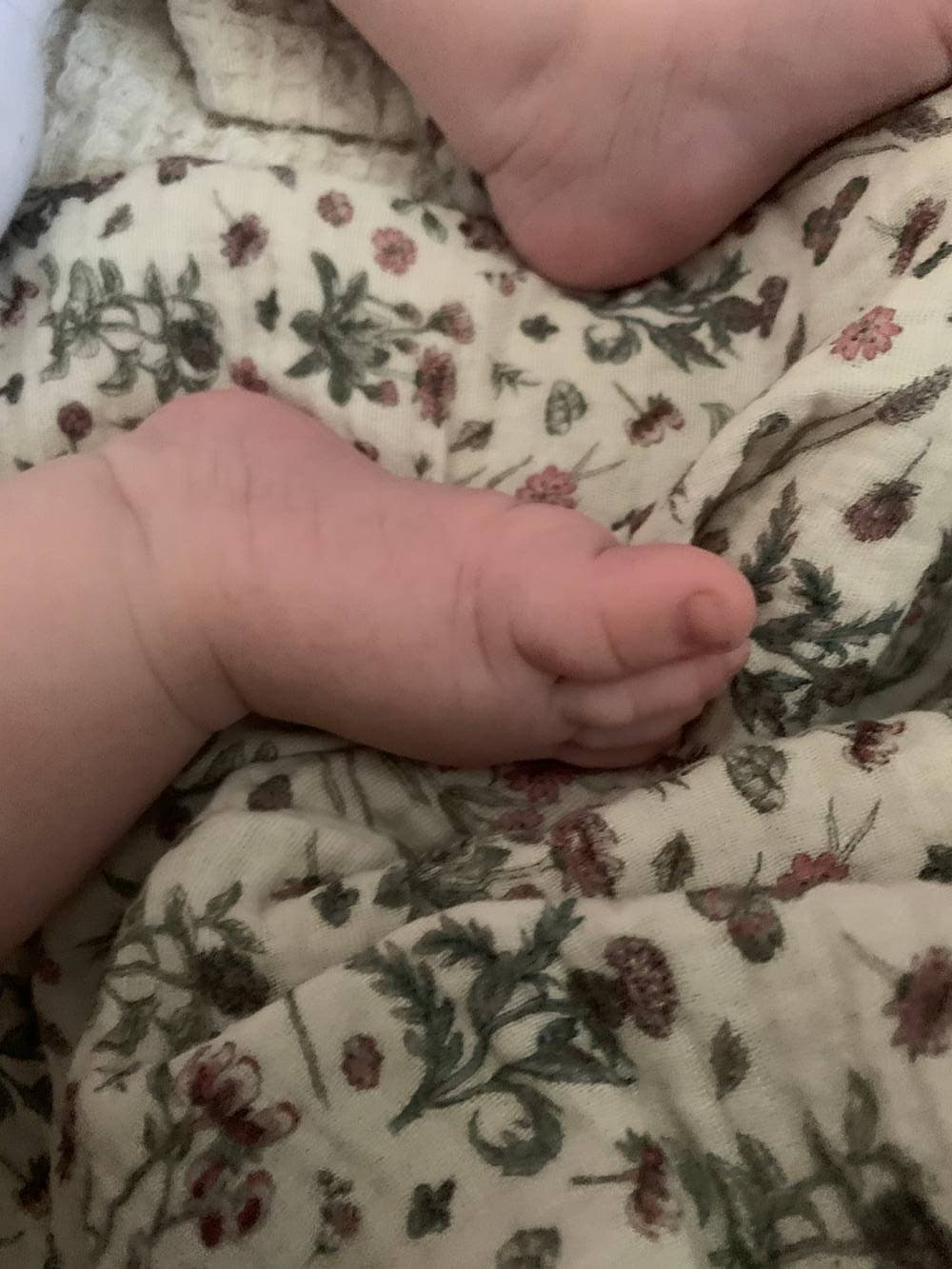 Lange ou foulard Double gaze bio « Les petits chardons »